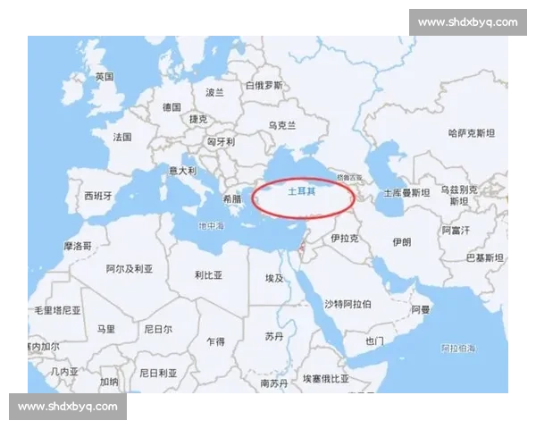 美国与土耳其关系的博弈与挑战：经济合作与地缘政治冲突的双重考量